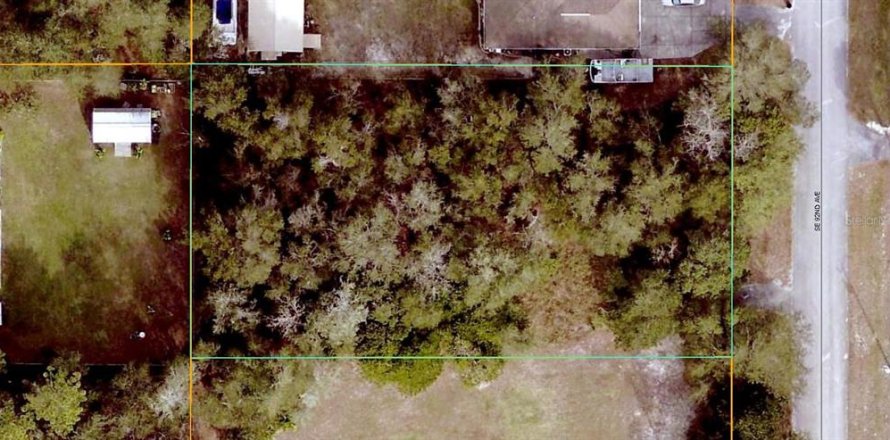 Terrain à Summerfield, Floride № 2195243