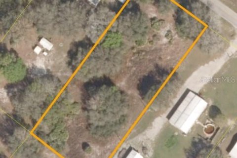Land in Okeechobee, Florida № 2402783