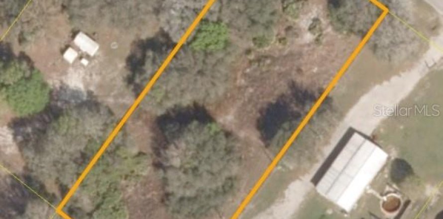 Land in Okeechobee, Florida № 2402783