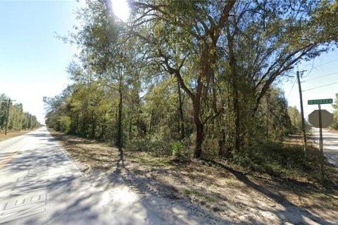 Land in Bronson, Florida № 2163373 - photo 3