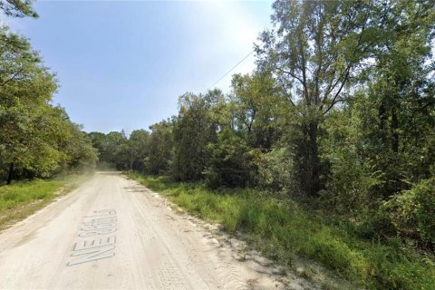 Land in Bronson, Florida № 2163373 - photo 4
