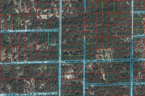 Land in Bronson, Florida № 2163373 - photo 2