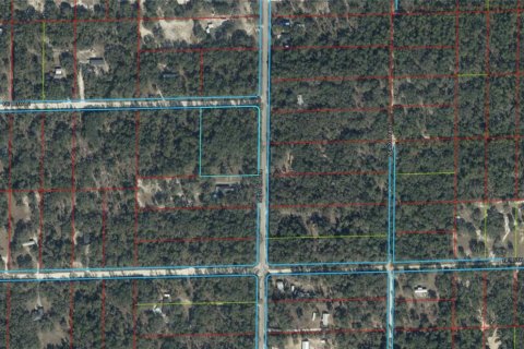 Land in Bronson, Florida № 2163373
