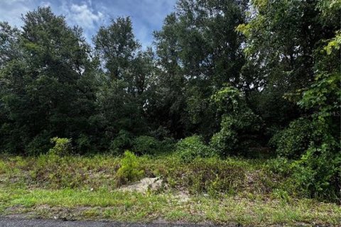 Land in Ocklawaha, Florida № 2291592