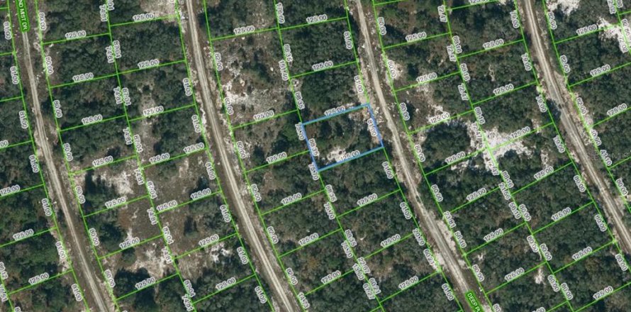Land in Lake Placid, Florida № 2209119