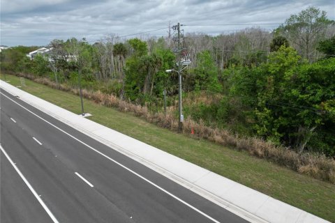 Land in Oviedo, Florida № 2144829 - photo 6