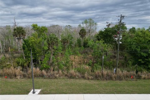 Land in Oviedo, Florida № 2144829 - photo 11