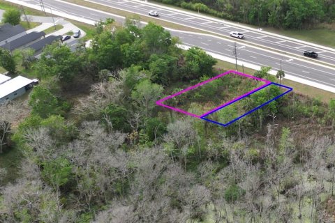 Land in Oviedo, Florida № 2144829 - photo 16