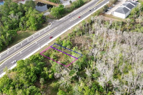 Land in Oviedo, Florida № 2144829 - photo 18