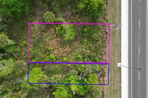 Land in Oviedo, Florida № 2144829