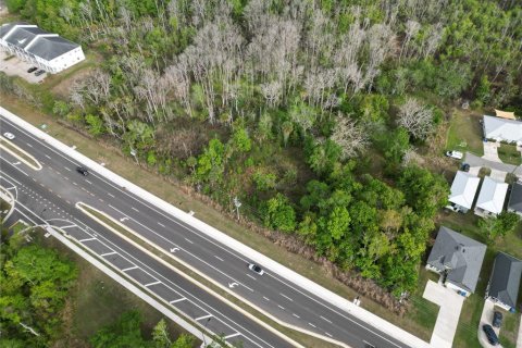 Land in Oviedo, Florida № 2144829 - photo 23