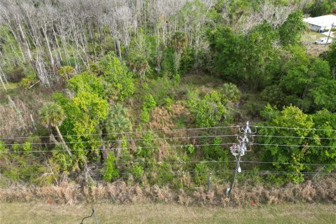 Land in Oviedo, Florida № 2144829 - photo 9