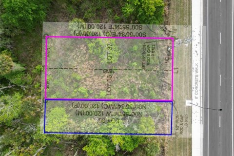 Land in Oviedo, Florida № 2144829 - photo 2