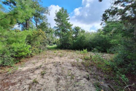 Land in Fort MC Coy, Florida № 1869484 - photo 20