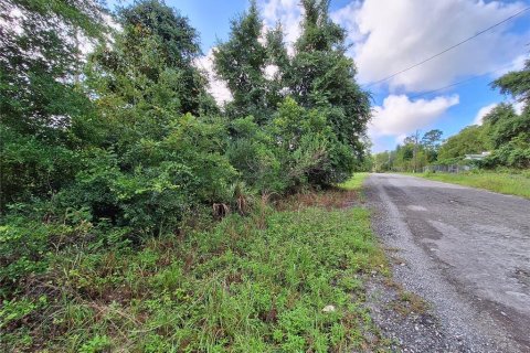Land in Fort MC Coy, Florida № 1869484 - photo 22