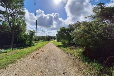 Land in Fort MC Coy, Florida № 1869484 - photo 17