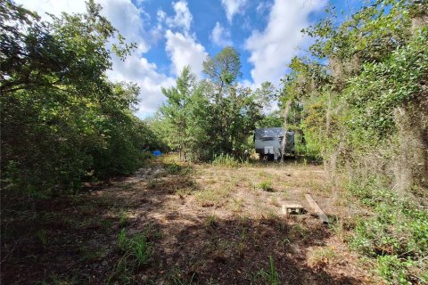 Land in Fort MC Coy, Florida № 1869484 - photo 3