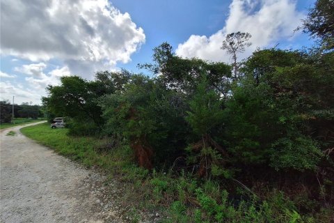 Land in Fort MC Coy, Florida № 1869484 - photo 24