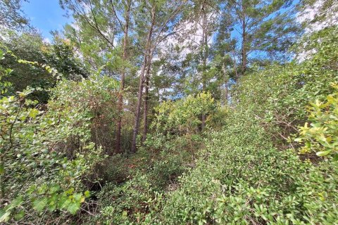 Land in Fort MC Coy, Florida № 1869484 - photo 19