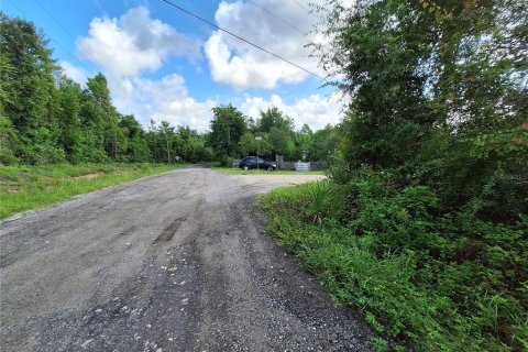Land in Fort MC Coy, Florida № 1869484 - photo 21
