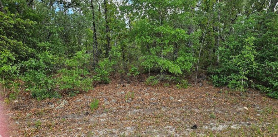 Land in Dunnellon, Florida № 2159203