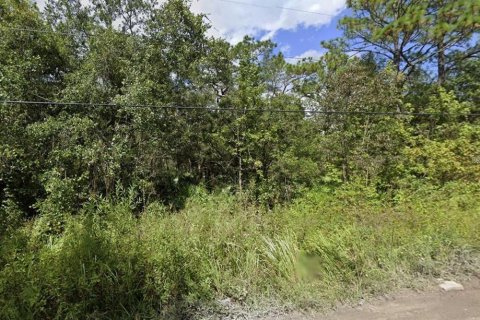 Land in New Port Richey, Florida № 2160574