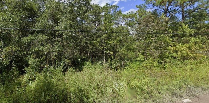 Land in New Port Richey, Florida № 2160574