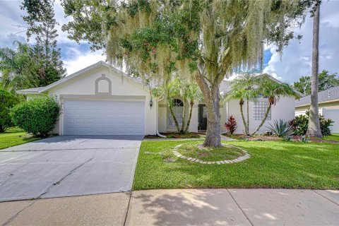 House in Wesley Chapel, Florida 4 bedrooms, 206.43 sq.m. № 2353423
