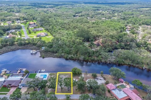Terreno en venta en Holiday, Florida № 1689572 - foto 17