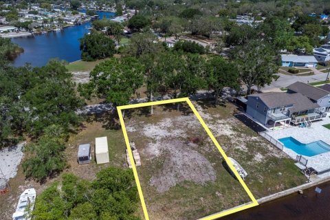 Terreno en venta en Holiday, Florida № 1689572 - foto 1