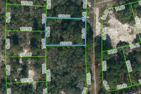 Land in Lake Placid, Florida № 2163980