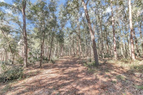 Terreno en venta en Silver Springs Shores, Florida № 1525514 - foto 3