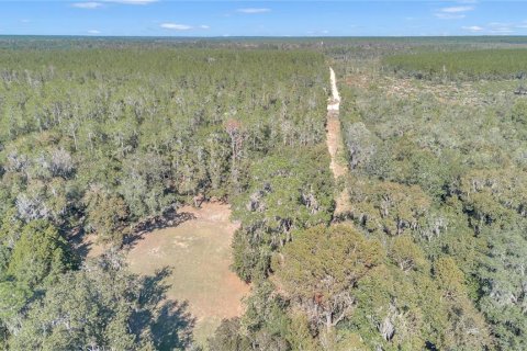 Terreno en venta en Silver Springs Shores, Florida № 1525514 - foto 24