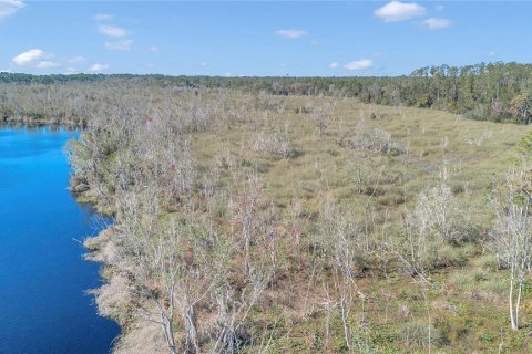 Terreno en venta en Silver Springs Shores, Florida № 1525514 - foto 21