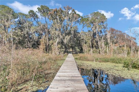 Terreno en venta en Silver Springs Shores, Florida № 1525514 - foto 13