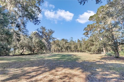Terreno en venta en Silver Springs Shores, Florida № 1525514 - foto 9