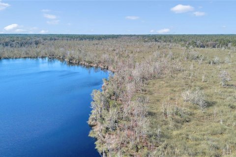 Terreno en venta en Silver Springs Shores, Florida № 1525514 - foto 23