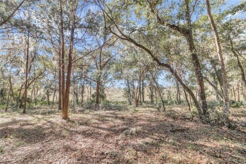 Terreno en venta en Silver Springs Shores, Florida № 1525514 - foto 5