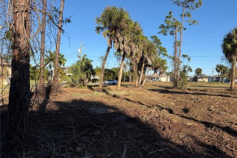 Land in Rotonda, Florida № 2163011
