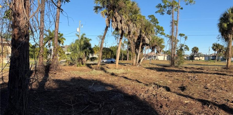 Land in Rotonda, Florida № 2163011