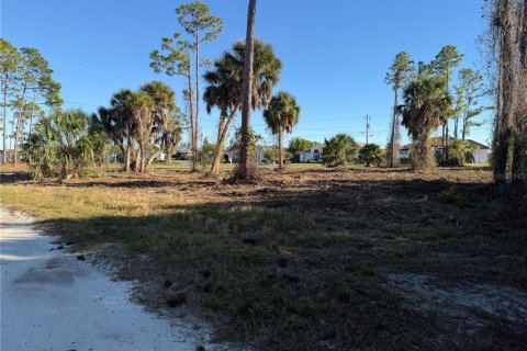 Land in Rotonda, Florida № 2163011 - photo 5