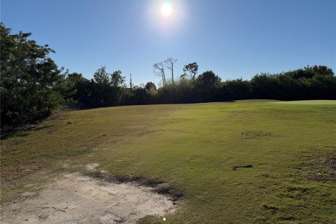 Land in Rotonda, Florida № 2163011 - photo 4