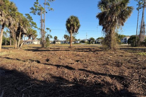 Land in Rotonda, Florida № 2163011 - photo 2