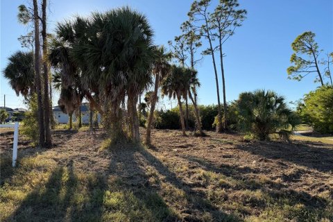 Land in Rotonda, Florida № 2163011 - photo 6