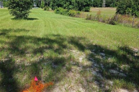 Land in Citra, Florida № 1341060 - photo 6
