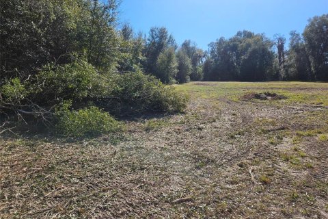 Land in Citra, Florida № 1341060 - photo 2