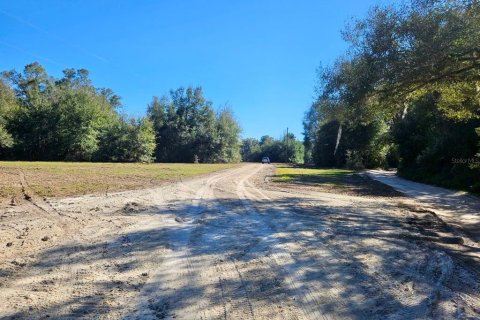 Land in Citra, Florida № 1341060 - photo 4