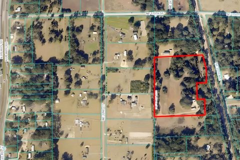 Land in Citra, Florida № 1341060 - photo 10