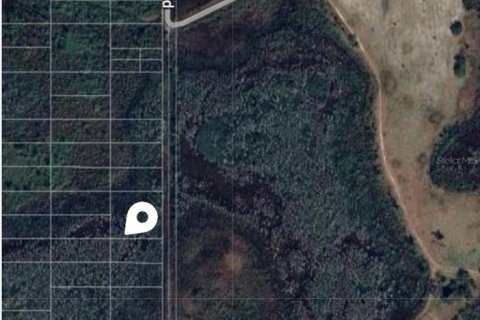 Land in Polk City, Florida № 2164166
