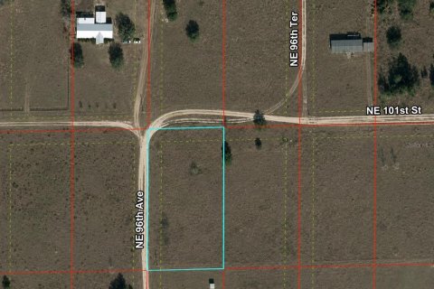 Land in Archer, Florida № 2225097 - photo 5